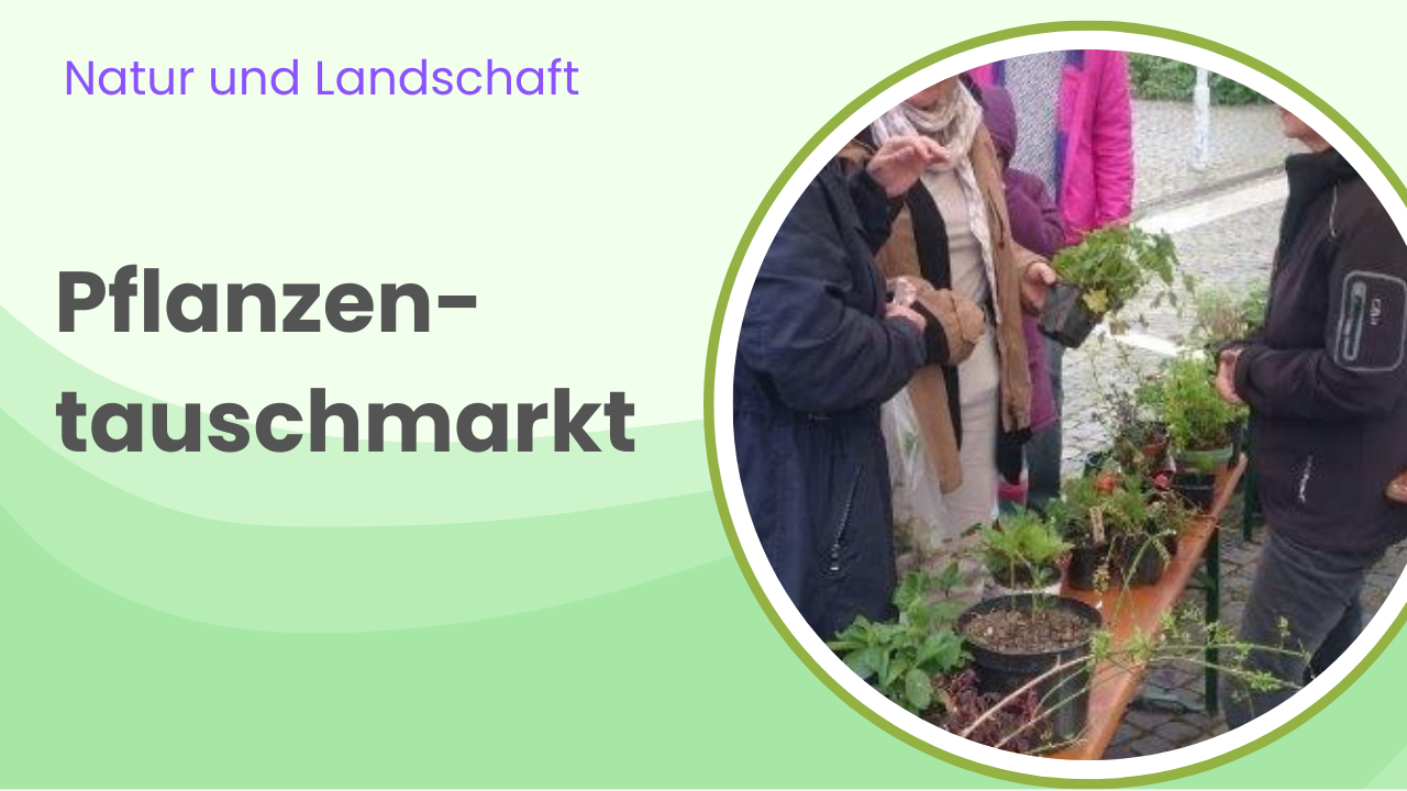 Foto Pflanzentauschmarkt Ottobrunn